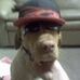 Profile Picture of Brian Short (@brian.short.581) on Facebook