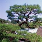 Profile Picture of Mark Tatarskih (@tatarskih.rars1994) on Instagram