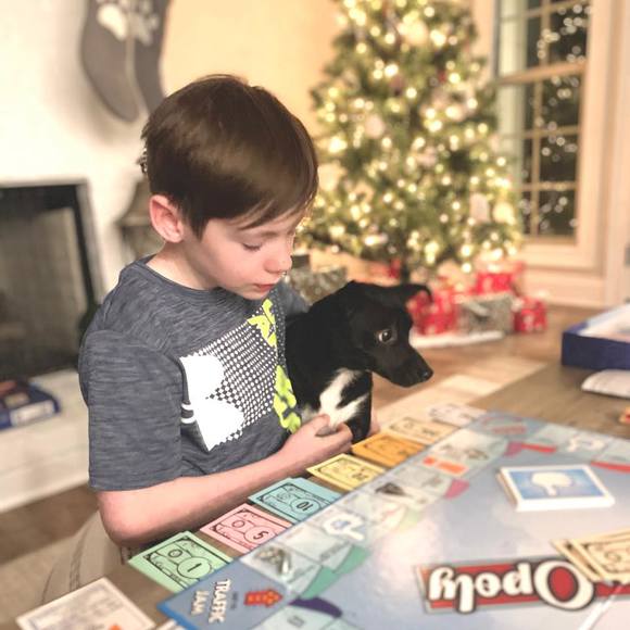 Profile Picture of Mandi Wilmoth (@mandispring) on Poshmark