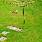 Profile Picture of Michael John Titcombe (@michaeljohn.titcombe) on Facebook