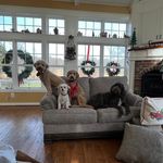 Profile Picture of Diane Jeffries (@diane.jeffries.520) on Instagram