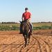 Profile Picture of Andrew Faver (@andrewfaver) on Pinterest