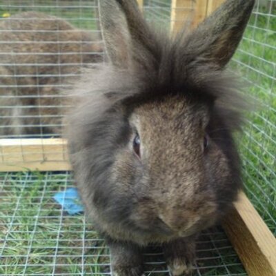 Profile Picture of Joe Jarman (@joejarman2) on Twitter