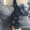 Profile Picture of Julie Dalberg410 (@@juliedalberg17) on Tiktok