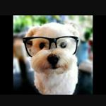 Profile Picture of Promise Fleming (@buddyface101) on Instagram