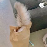 Profile Picture of Gloria (@zhao.gloria) on Instagram