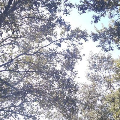 Profile Picture of Claudia Jimenez Ayllon (@ayllon_jimenez) on Twitter