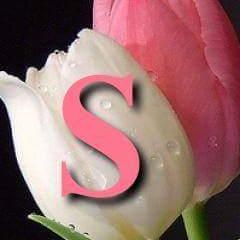 Profile Picture of Sultan Nepal (@MayaPariyar) on Twitter