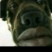 Profile Picture of Amanda Llamas (@amandallamas1041) on Youtube