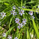 Profile Picture of Donna Scroggins (@dcscroggins) on Instagram