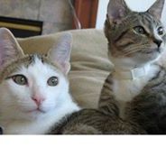 Profile Picture of Stephen Benedict (@stephenhbenedic) on Pinterest