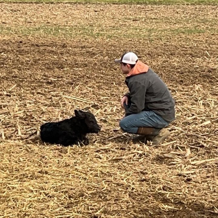 Matthew Workman - Tiktok Profile Picture of Matthew Workman (@farmer_matt740) on Tiktok