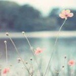 Profile Picture of Alberta Caroline (@alberta_caroline) on Instagram