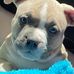 Profile Picture of Stephen Kowalewski (@stephen.kowalewski.969) on Facebook