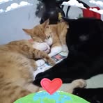 Profile Picture of Doris Basto (@doris.basto.395) on Facebook