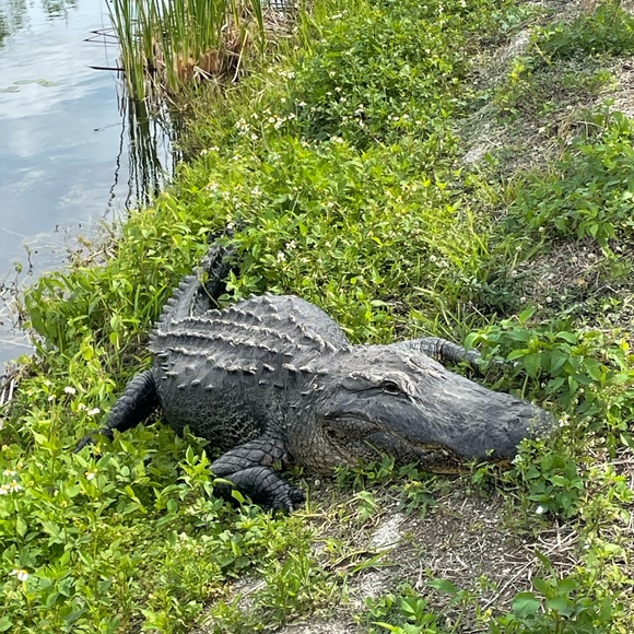 Jason Farrar - Poshmark Profile Picture of Jason Farrar (@init224) on Poshmark