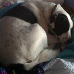 Profile Picture of 💎Ripley Joe Hagler💎 (@ripley.hagler) on Instagram