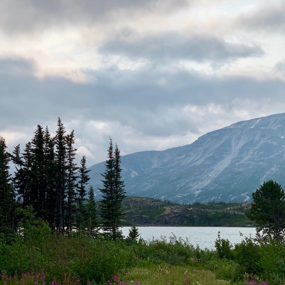 Profile Picture of Kerry Marks (@sav_ker) on Poshmark