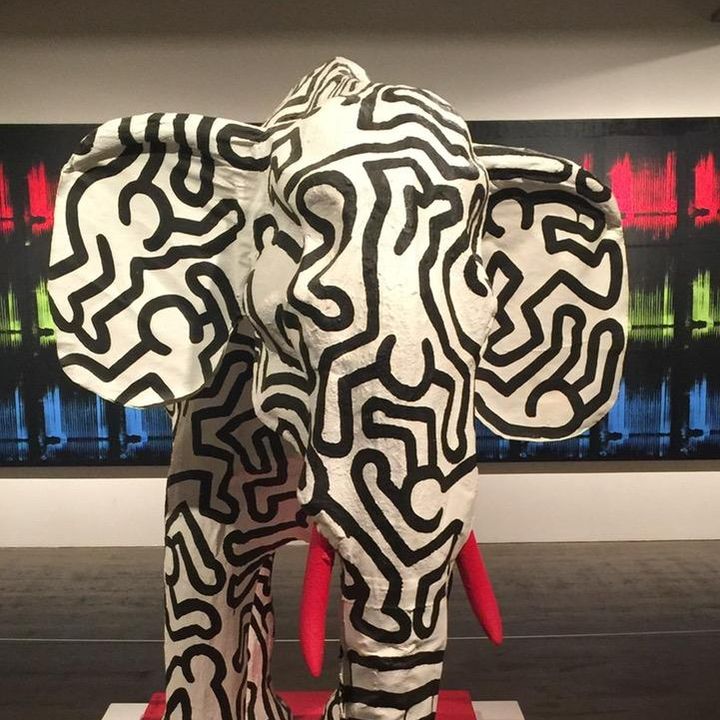 Profile Picture of josephsally (@josephsally) on Tiktok