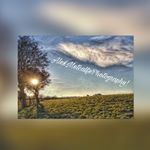 Profile Picture of 🔹 Alex Metcalfe 🔹 (@alexmetcalfephotography) on Instagram