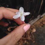 Profile Picture of Tammy_Franklin_ (@tammy_franklin_s) on Instagram