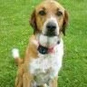 Profile Picture of Kevin Oconnor (@superkev71) on Youtube