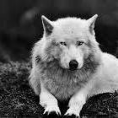 Profile Picture of Mateusz Rutkowski (@_Rutkus_xD) on Twitter