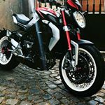 Profile Picture of Brian Alvarez 1133667365 (@brianalvarez435) on Instagram