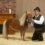 Profile Picture of Sylvaine Daniel Lebel Saindon (@lebelsaindon) on Pinterest