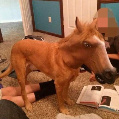 Profile Picture of Albert Chuang (@AlbertChuang4) on Twitter