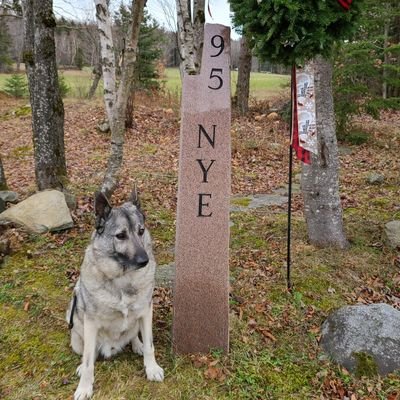 Profile Picture of Jason Nye (@JasonNye802) on Twitter