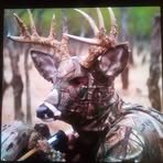 Profile Picture of Jason Derringer (@Jason-Derringer) on Facebook