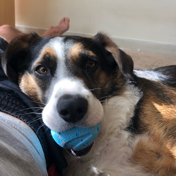 Profile Picture of Marcus Mooney (@marcusmooney313) on Poshmark