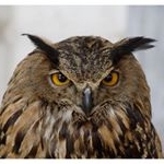 Profile Picture of Bobby Sands (@bobbysands871) on Instagram