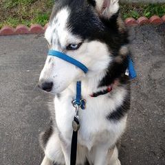 Profile Picture of Tracy Colson (@user508032957) on Tiktok