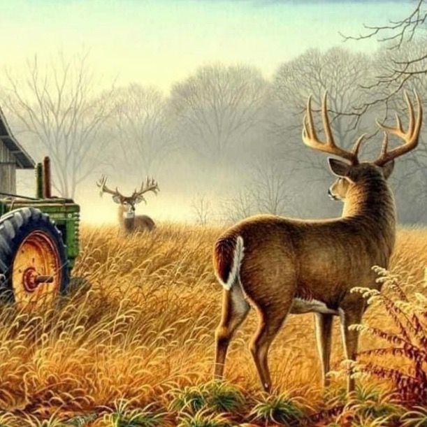 Profile Picture of Richard (@richardsimmonss) on Tiktok