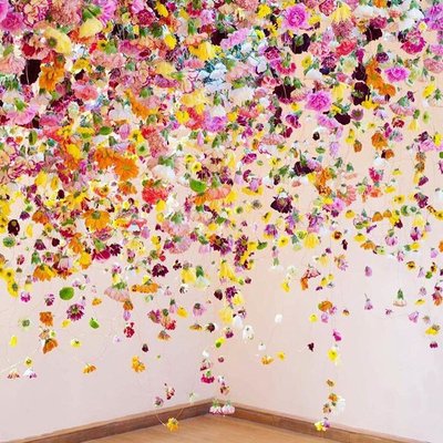 Profile Picture of Alison Hone (@alisonhone) on Twitter