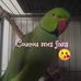 Profile Picture of Alexandra Halter (@alexandra.halter.140) on Facebook