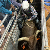 Profile Picture of James Isbell (@jamesisbell6774) on Youtube