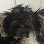 Profile Picture of Barney Hayter (@banraykern) on Instagram