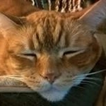 Profile Picture of Edward Swanson (@b.edward.swanson) on Instagram