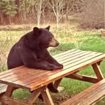 Profile Picture of Jeremy Peters (@jeremy.peters.818125) on Facebook