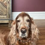 Profile Picture of Kim Landers (@landers3698) on Instagram