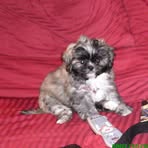 Profile Picture of Precious Parrish (@precious.parrish.9) on Facebook