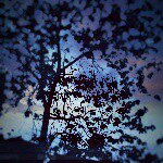 Profile Picture of Amber mark (@amber.mark) on Instagram