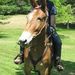 Profile Picture of Paul Labonte (@ddbtdd1396) on Pinterest