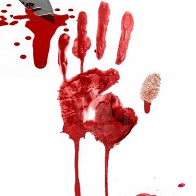 Profile Picture of Kyle Shannon (@KyleShannon1) on Twitter