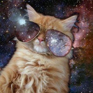 Profile Picture of Scott Freese (@scott.freese1) on Myspace