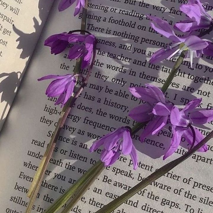 Profile Picture of Violeta Calhoun (@user8566529514363) on Tiktok