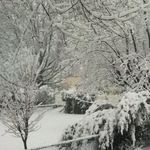 Profile Picture of Mark E. Whipkey Sr (@whipkeymark) on Instagram